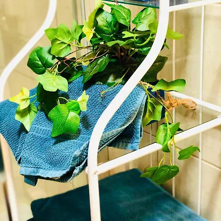 Shanti, La Casa Azul Апартаменты *